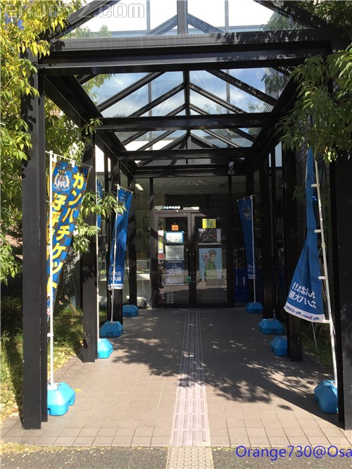 迟到的作业《大阪马拉松-无与伦比的经历》