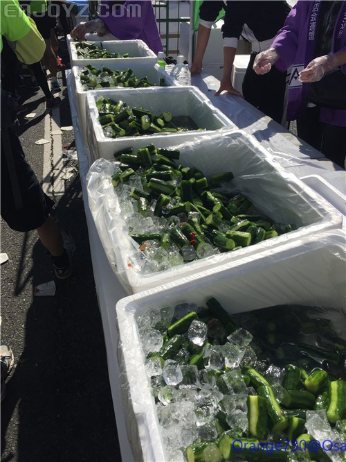 迟到的作业《大阪马拉松-无与伦比的经历》