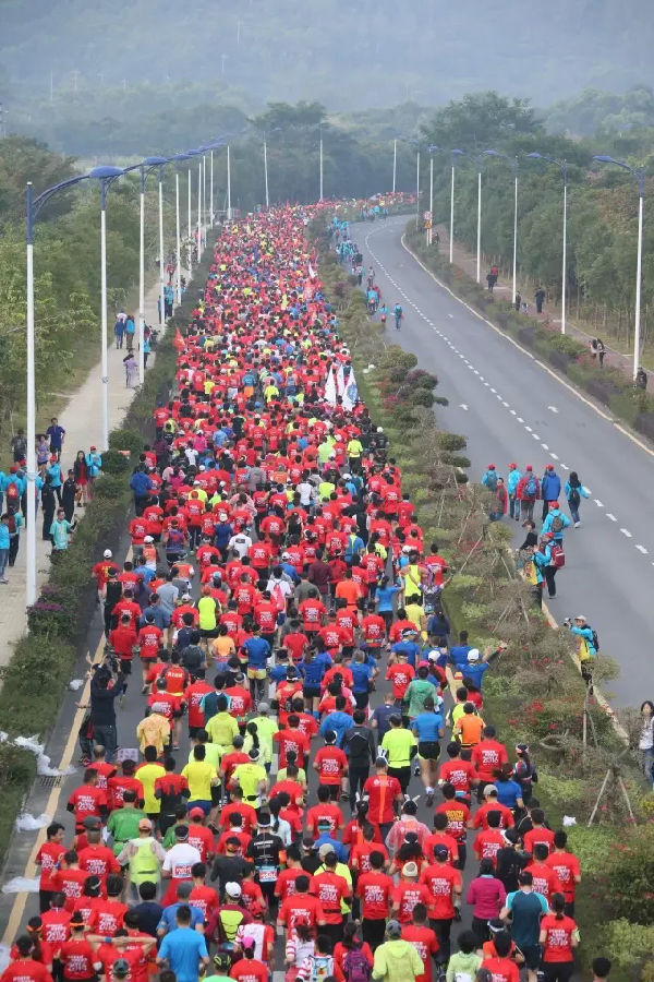 新年首马、鹏程万里——大鹏新年马拉松评测