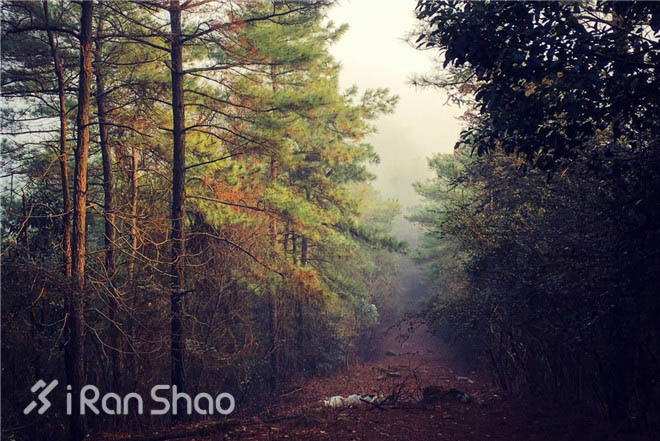 探路 | 追狼X越野赛，一条独特的神秘赛道