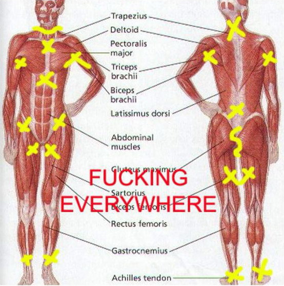 晓看红湿处  润物细无声——三款防摩擦产品评测