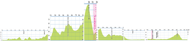 亚热带的奔放——那霸马拉松（带视频）