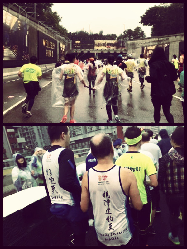 全情投入来爱你 而无论任何天气——致我的第一个港马