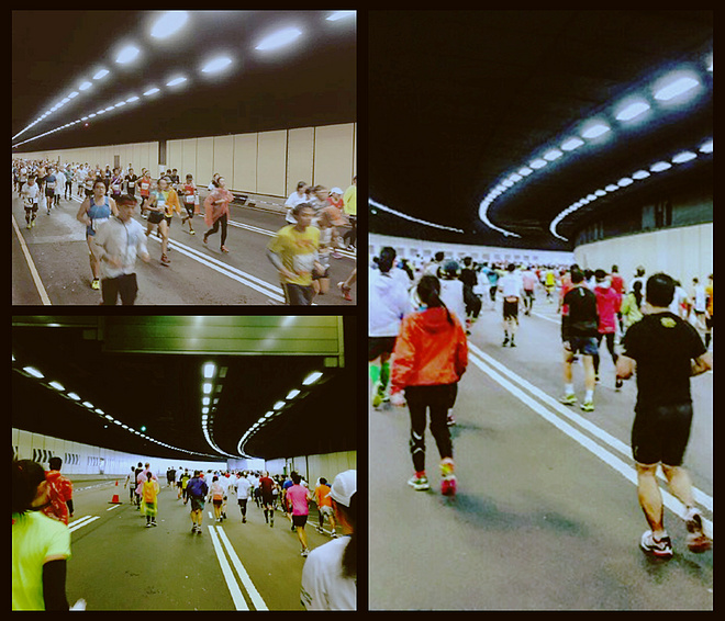 全情投入来爱你 而无论任何天气——致我的第一个港马