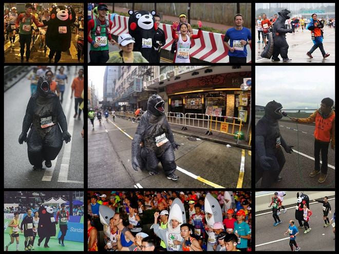 全情投入来爱你 而无论任何天气——致我的第一个港马