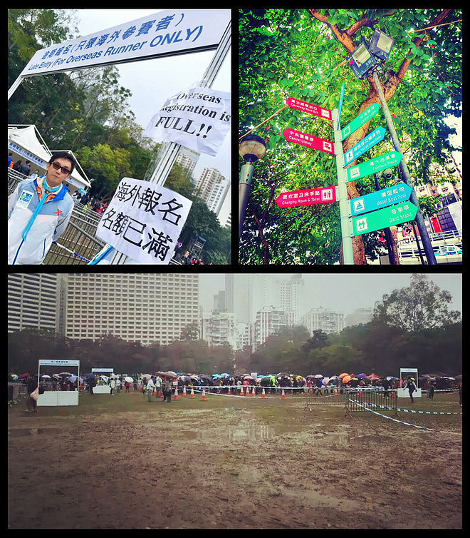 全情投入来爱你 而无论任何天气——致我的第一个港马