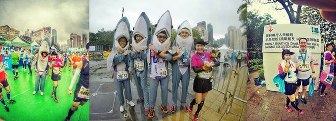 全情投入来爱你 而无论任何天气——致我的第一个港马