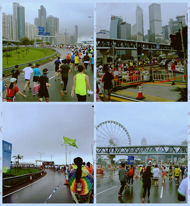 全情投入来爱你 而无论任何天气——致我的第一个港马