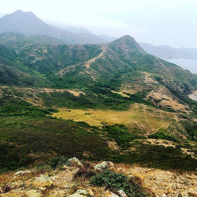 2016  MSIG Sai Kung 50