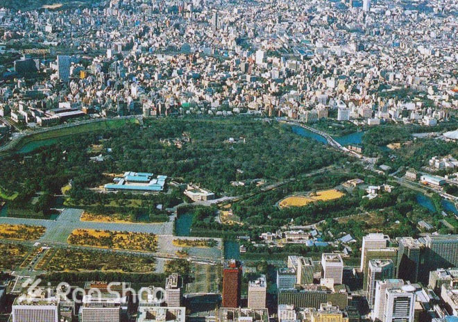 走近东马 | 东京马拉松零经验通关攻略