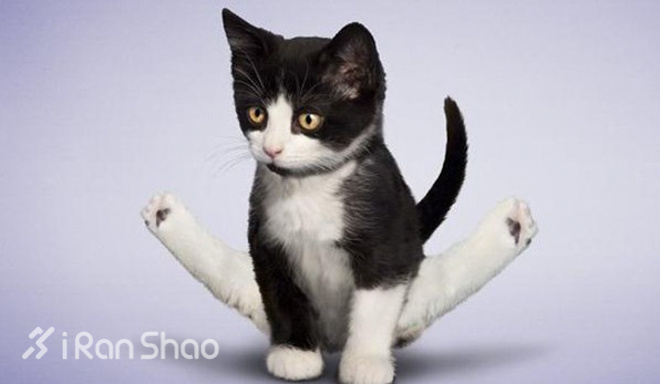 经验 | 春节后如何有效恢复训练