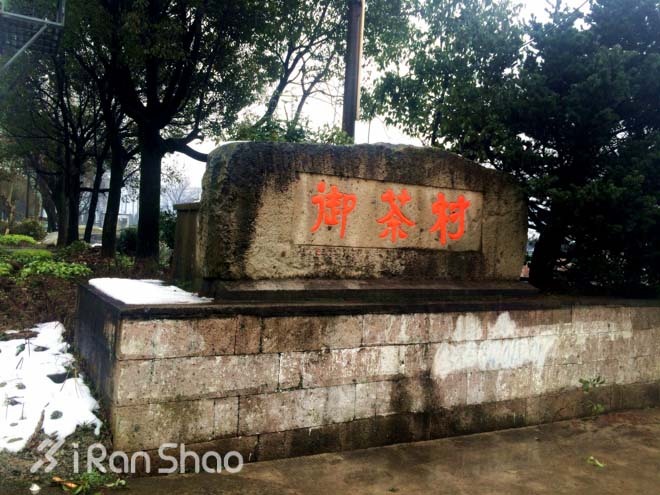 探路 | 银装素裹，江南印象之绍兴茶园山地半程马拉松