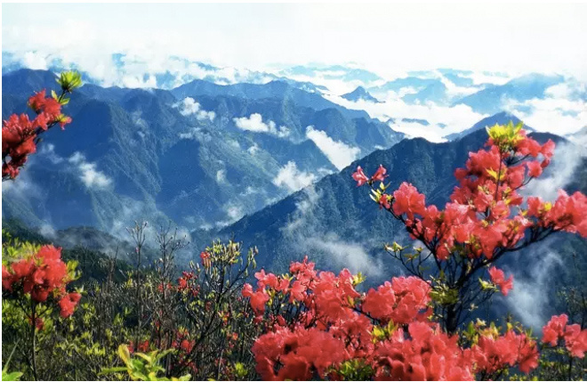 一键报名 | 正在报名的赛事合辑