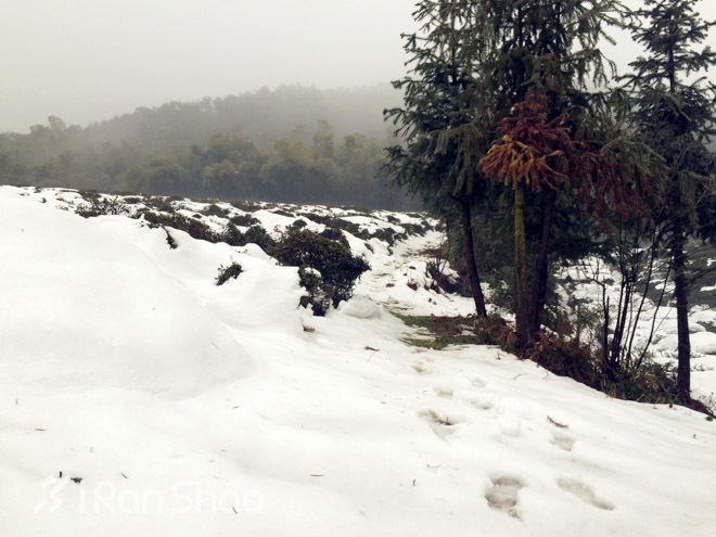 探路 | 银装素裹，江南印象之绍兴茶园山地半程马拉松