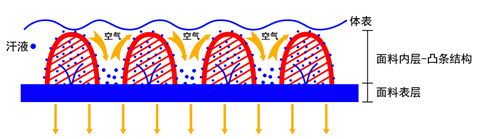 X-BIONIC紧身裤体验测评