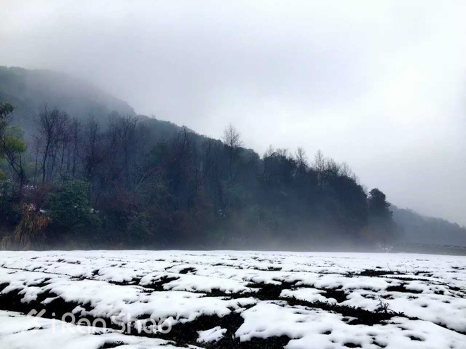 探路 | 银装素裹，江南印象之绍兴茶园山地半程马拉松