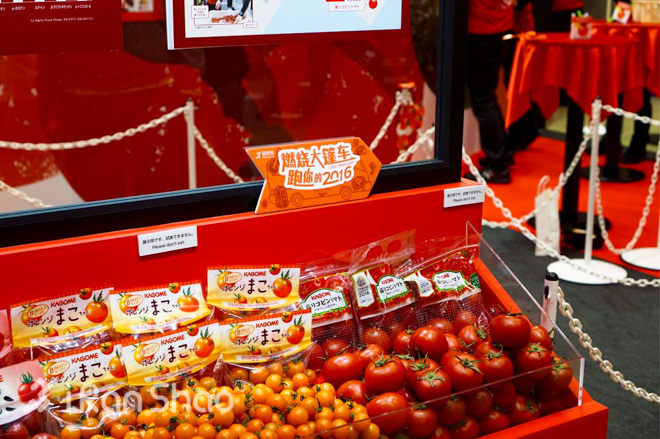 走近东马 | 直击东马10周年EXPO现场