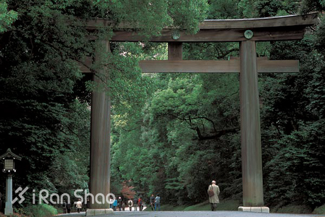 走近东马 | 东京马拉松零经验通关攻略