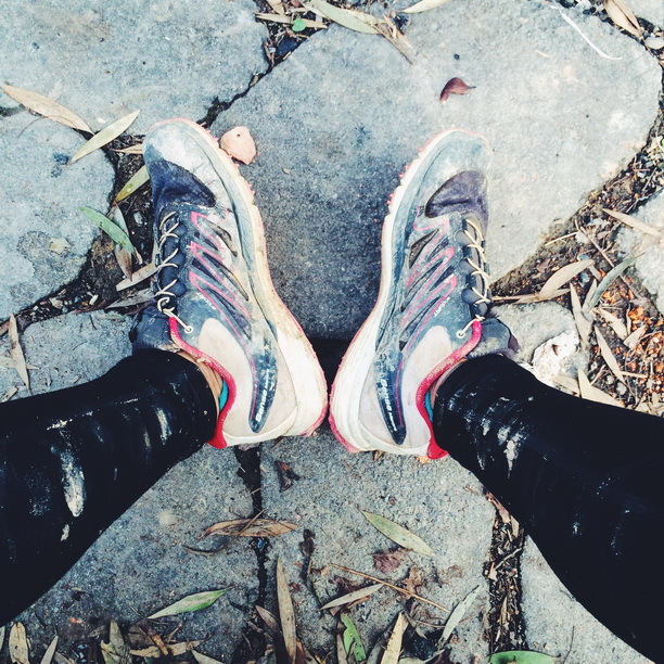 2016  MSIG Sai Kung 50