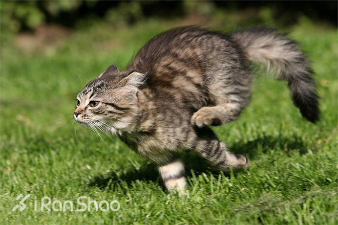 经验 | 春节后如何有效恢复训练