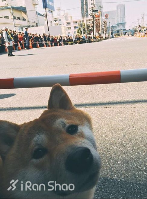 走近东马｜跑者你最大！跑东马的三个理由！
