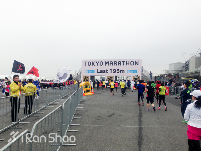 走近东马 | 东京马拉松零经验通关攻略