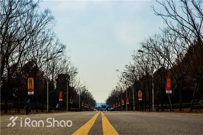 探路 | 用一场半马去认识一个松江