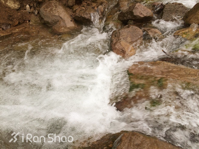 探路 | 银装素裹，江南印象之绍兴茶园山地半程马拉松
