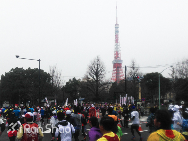 走近东马 | 东京马拉松零经验通关攻略