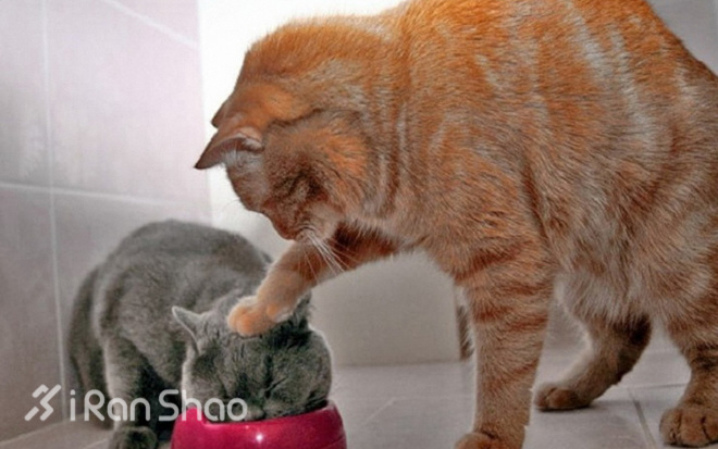 经验 | 春节后如何有效恢复训练