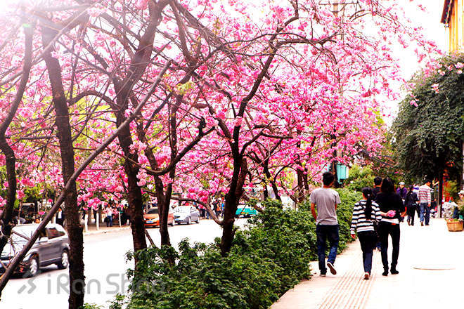 马拉松城纪 | 坐标昆明，从这里跑进春天