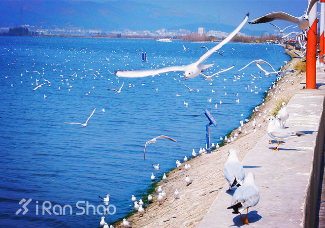 马拉松城纪 | 坐标昆明，从这里跑进春天
