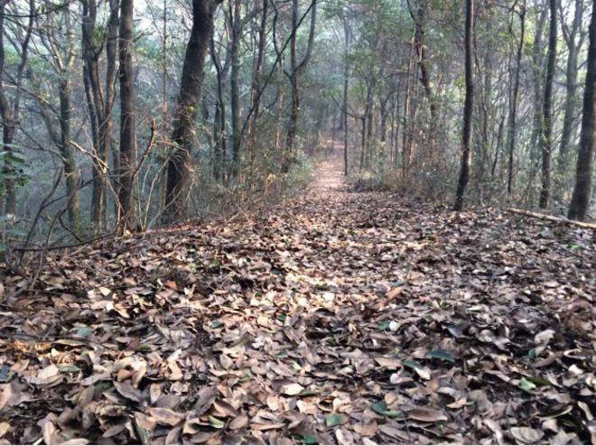 一键报名 | 正在报名的赛事合辑