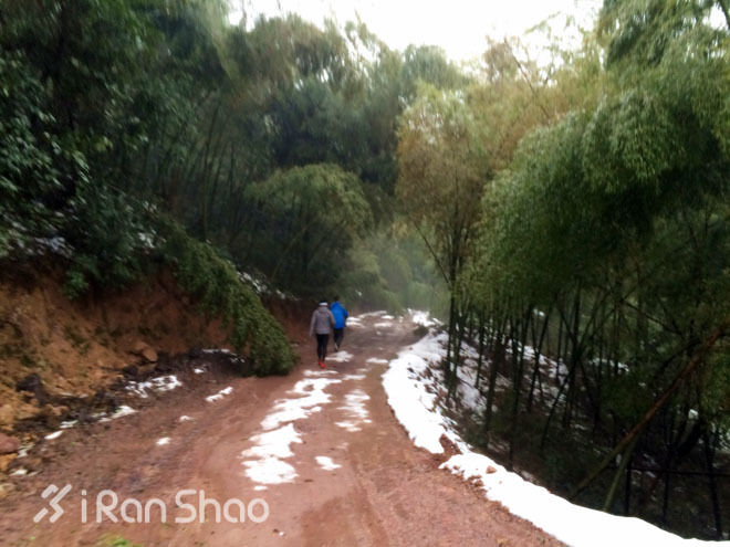 探路 | 银装素裹，江南印象之绍兴茶园山地半程马拉松