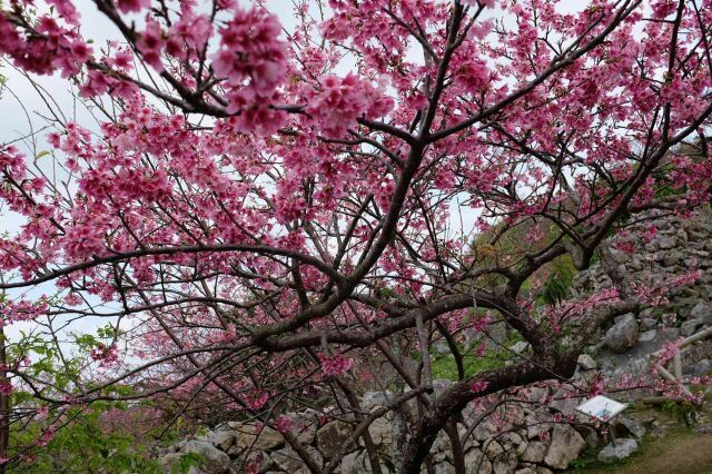 人•梦•爱，奔跑在古琉球王国的42.195公里 -2016冲绳马拉松全攻略