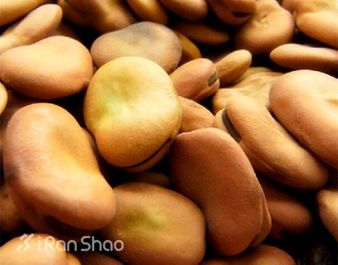 无跑不春 | 除了粉色小背心 偷偷告诉跑锡马的你这33条冷知识