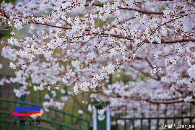 不要只看无锡马拉松的骚背心