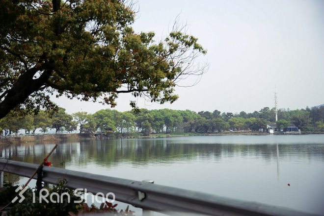 探路 | 四桥五湖 武汉马拉松路线探路通关秘籍