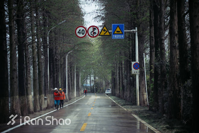 探路 | 四桥五湖 武汉马拉松路线探路通关秘籍