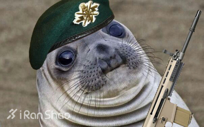 训练｜王力宏也喜欢的训练－TRX