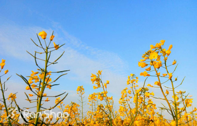 经验 | 为什么说春天是跑步最好的时节？