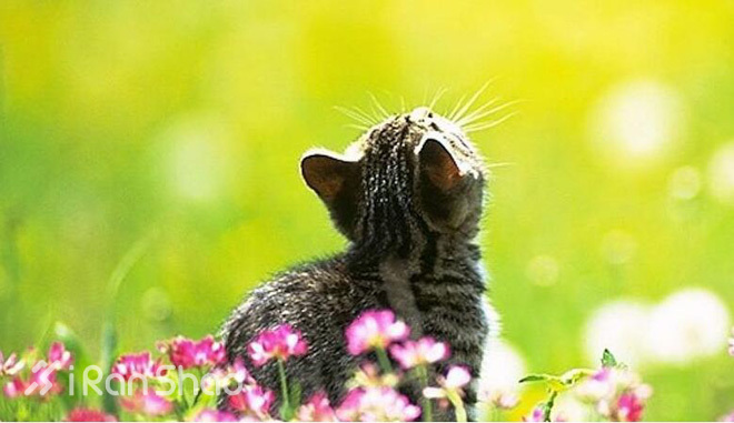 经验 | 为什么说春天是跑步最好的时节？