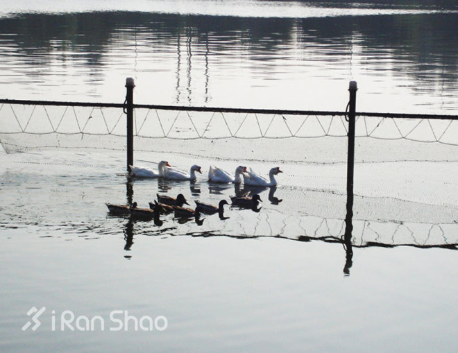 无跑不春 | 除了粉色小背心 偷偷告诉跑锡马的你这33条冷知识