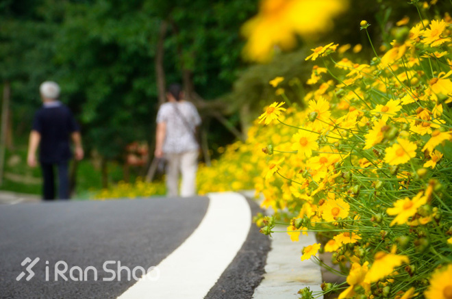 指南 | 2016年重庆国际马拉松参赛指南