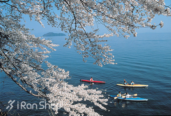 战报 | 琵琶湖马拉松，日本奥运男队的最后决战