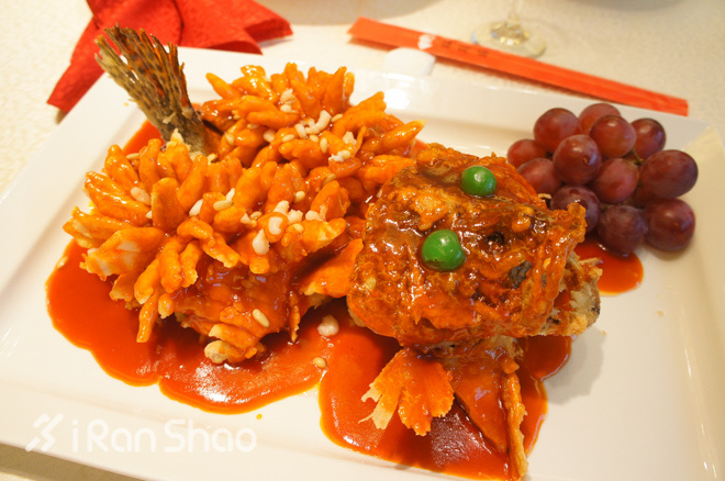 指南 | 2016第七届苏州环金鸡湖国际半程马拉松参赛指南（内附探路视频）