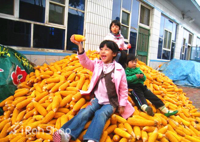 无跑不春 | 除了粉色小背心 偷偷告诉跑锡马的你这33条冷知识