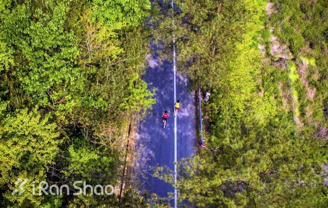 经验 | 为什么说春天是跑步最好的时节？