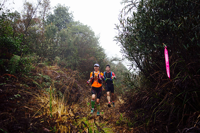 从化CH50猫仔滑屁屁战记