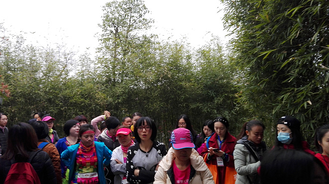 3.13武汉女子半程马拉松众测报告